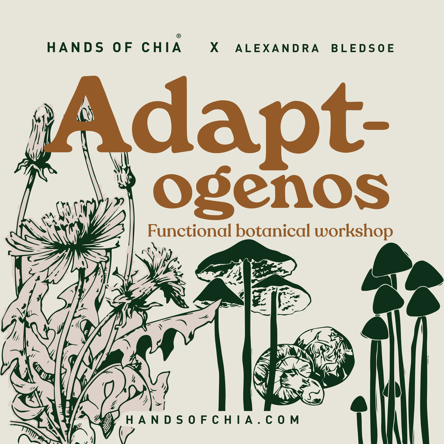 Workshop Adaptogenos by HOC x ALEXANDRA BLEDSOE