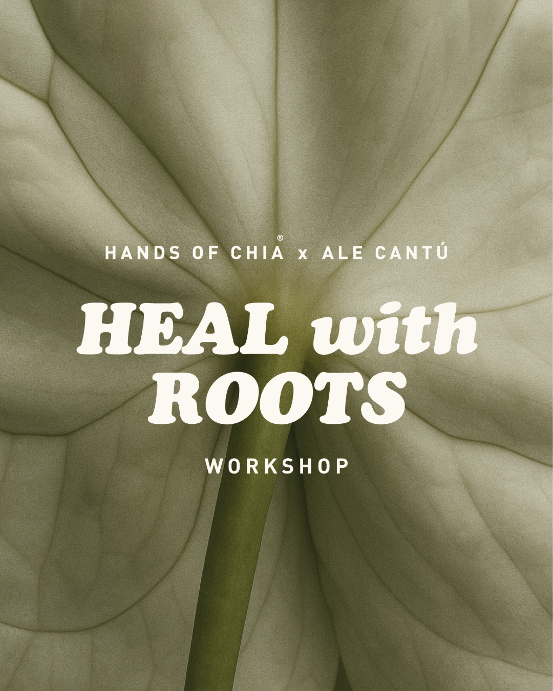 Heal with Roots - Workshops